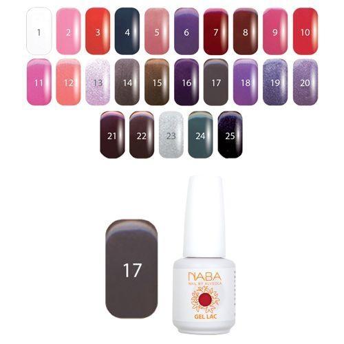 Lac Gel 17 - 15 ml - Dust Purple