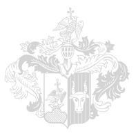 NABA šablona na nechty 216