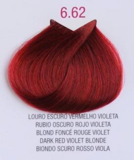 Life Color Plus dark red violet blonde/tmavá červená fialová 6.62